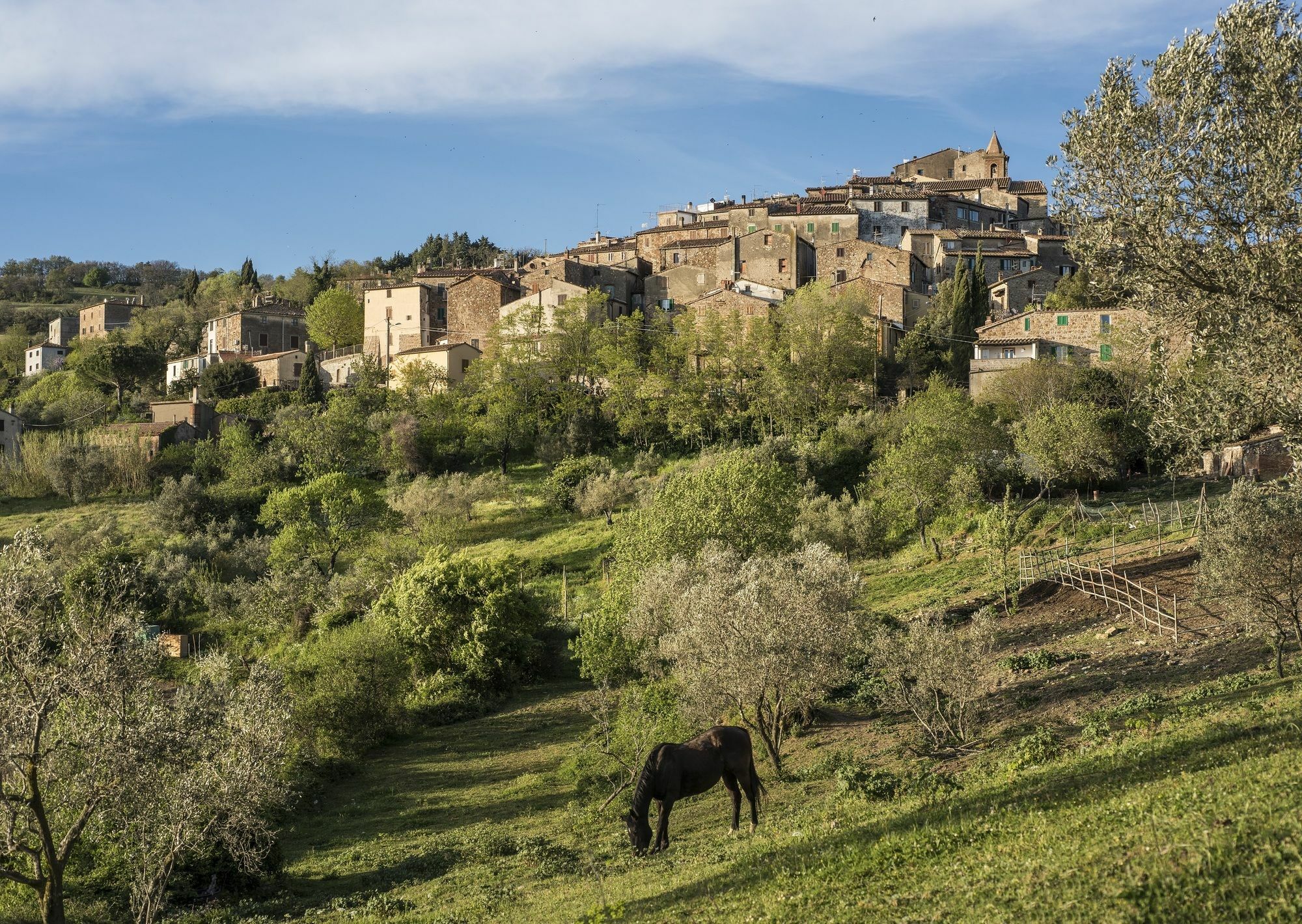 La Fattoria Di Alojamento de Acomodação e Pequeno-almoço Tatti